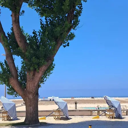 Praceta Madalena アパート *