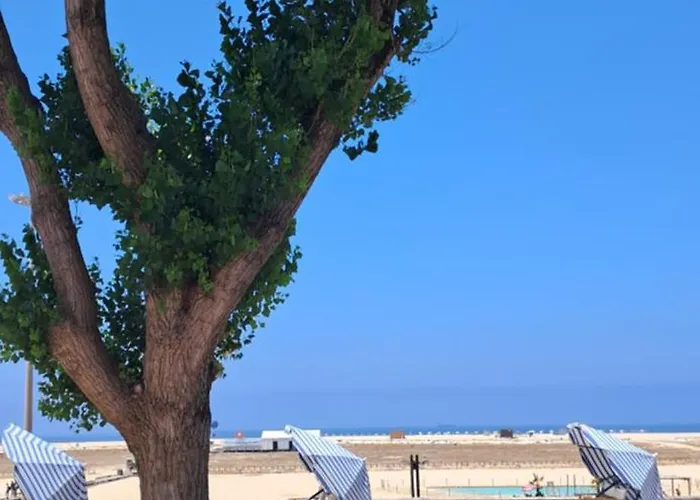 Praceta Madalena 公寓 *